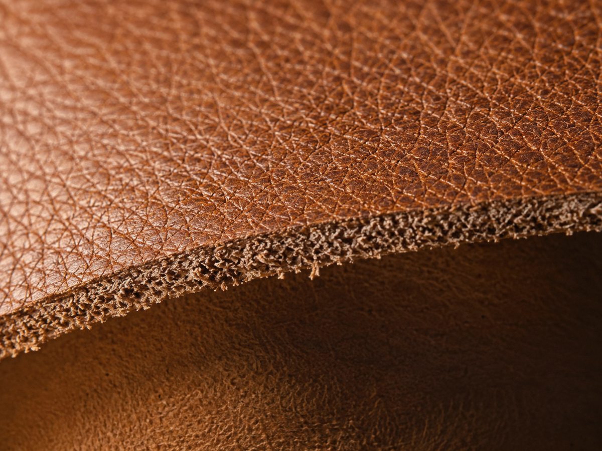 Détail du grain d'un cuir tanné et de sa tranche